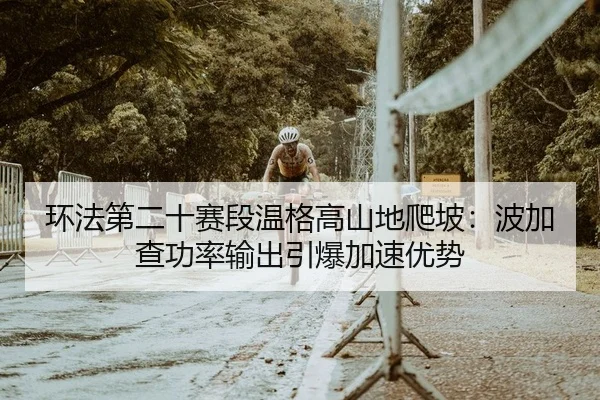 huan-fa-di-er-shi-sai-duan-wen-ge-gao-shan-di-pa-po-bo-jia-cha-gong-lv-shu-chu-yin-bao-jia-su-you-shi-2-221.jpg