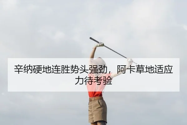 辛纳硬地连胜势头强劲，阿卡草地适应力待考验